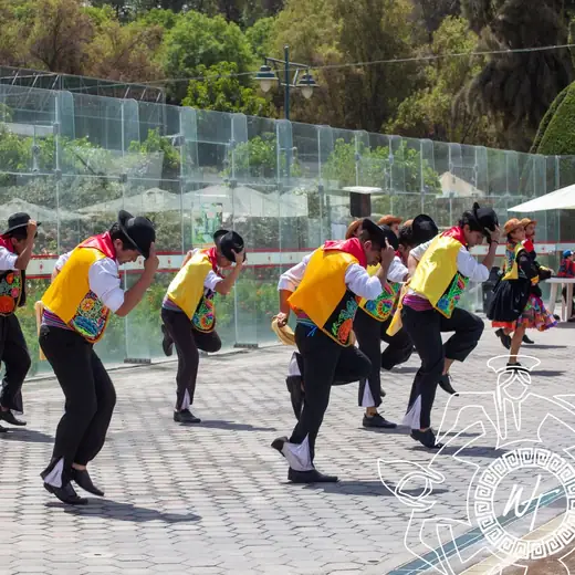 Bailarines con chalecos amarillos durante una coreografía junto a una piscina